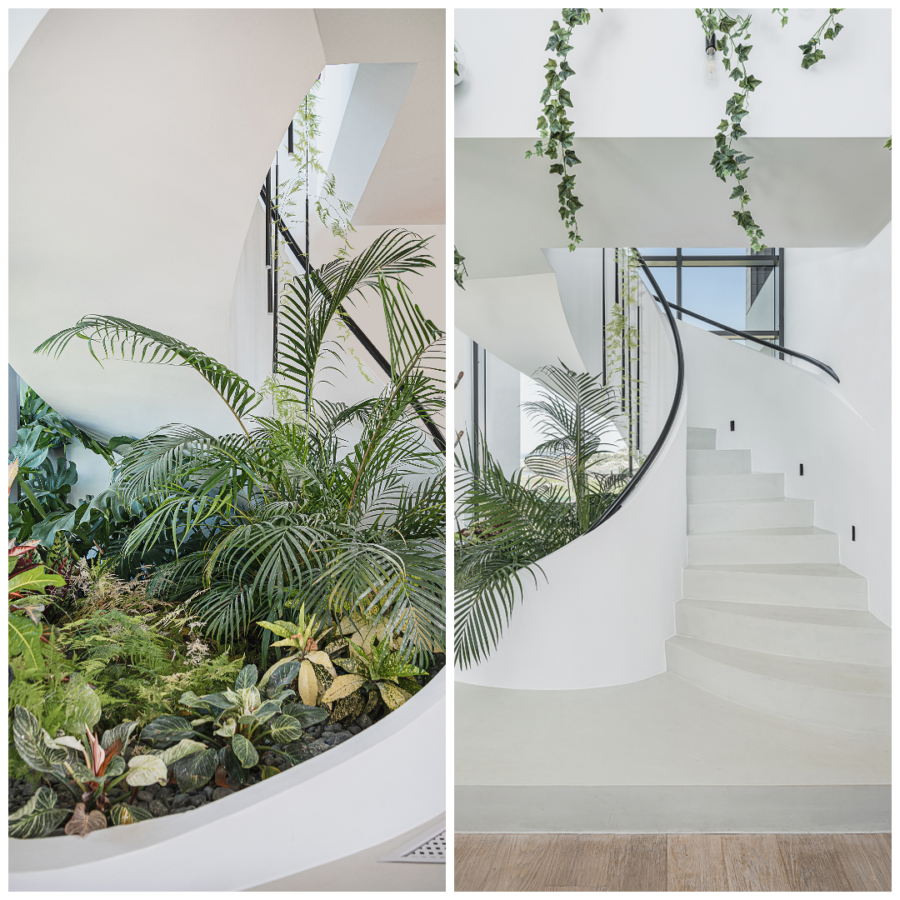 photo-collage.png (1)